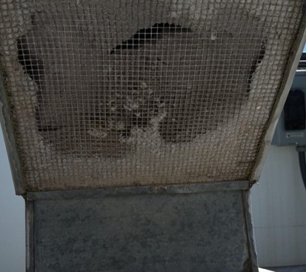 dryer-vent-cleaning dryer-vent-cleaning